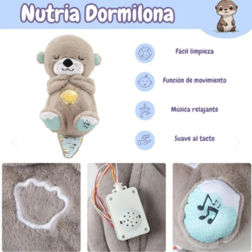 NUEVO PELUCHE NUTRIA ANTI ANSIEDAD